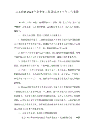 2023年上半年工作总结及下半年工作安排（7篇）.docx