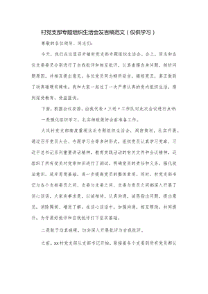 村党支部专题组织生活会发言稿范文.docx