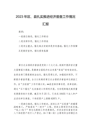 2023年区、县扎实推进经济普查工作情况汇报.docx