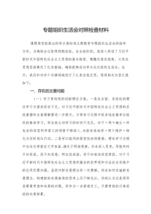 2024年四方面检视个人剖析发言材料.docx
