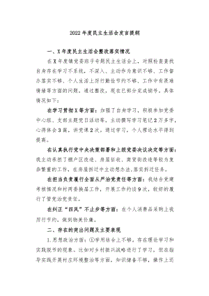 2022年度民主生活会个人发言提纲及整改清单1.docx
