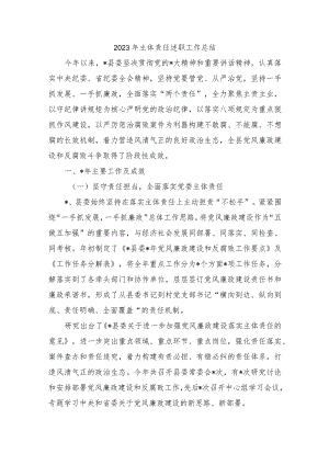 2023年主体责任述职工作总结.docx