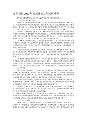 支部书记2023年度抓党建工作述职报告.docx