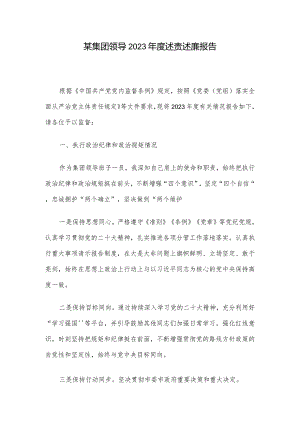 某集团领导2023年度述责述廉报告.docx