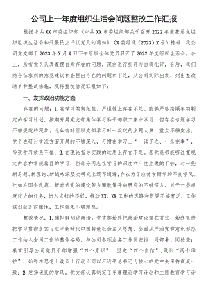 公司上一年度组织生活会问题整改工作汇报.docx