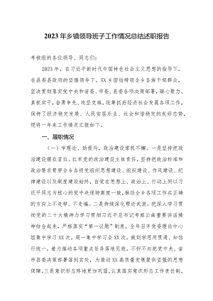 2023年乡镇领导班子工作情况总结述职报告.docx