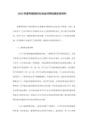 2023年度专题组织生活会对照检查发言材料.docx