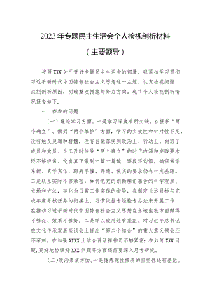 2023年专题民主生活会个人检视剖析材料3篇.docx