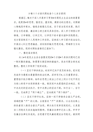 乡镇六个方面问题检查个人发言提纲.docx