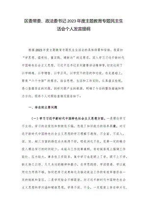 区委常委、政法委书记2023年度主题教育专题民主生活会个人发言提纲.docx