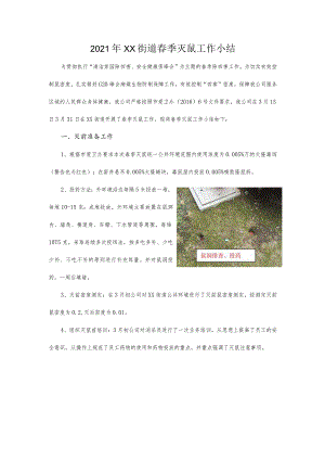 2021年街道春季灭鼠工作小结.docx
