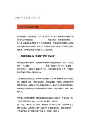 2023年党支部工作总结.docx