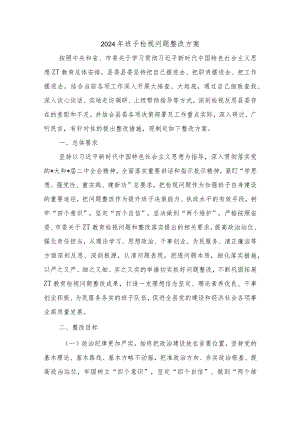2024年班子检视问题整改方案.docx