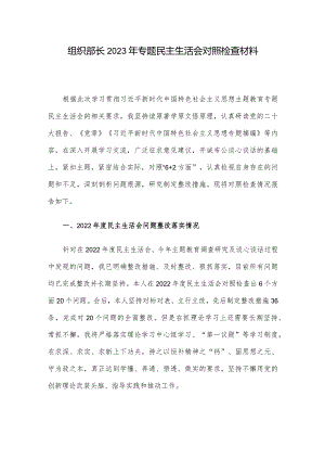 组织部长2023年专题民主生活会对照检查材料.docx