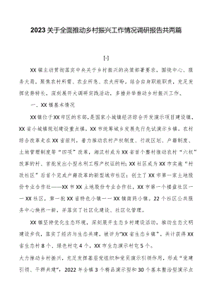 2023关于全面推进乡村振兴工作情况调研报告共两篇.docx
