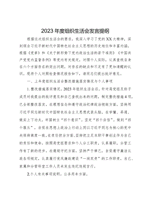 2023年度组织生活会发言提纲.docx