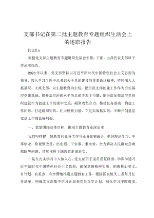支部书记在第二批主题教育专题组织生活会上的述职报告（范文）.docx