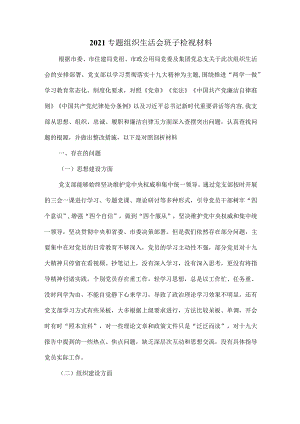 2021专题组织生活会班子检视材料二.docx