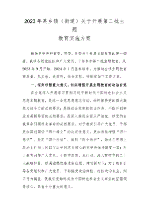 2023年某乡镇（街道）关于开展第二批主题教育实施方案.docx