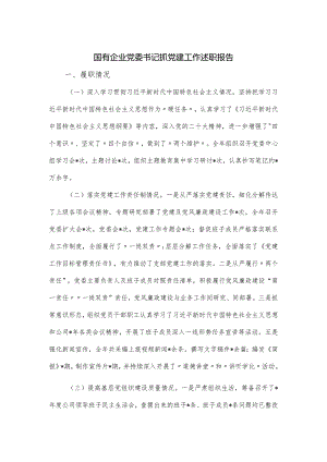 国有企业党委书记抓党建工作述职报告.docx