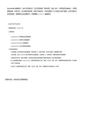 2023全景生态流量年度报告.docx