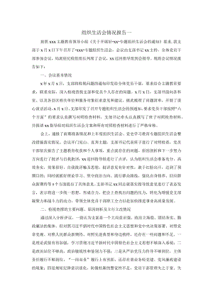 组织生活会情况报告范文.docx