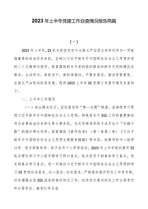 2023年上半年党建工作自查情况报告两篇.docx