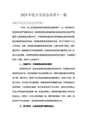 2023年民主生活会自评十一篇.docx