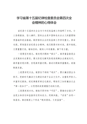2024年江西省纪委十五届四次全会精神心得体会22篇.docx