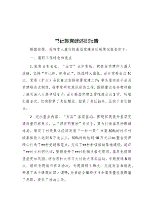 2023年度抓党建述职报告（书记）.docx