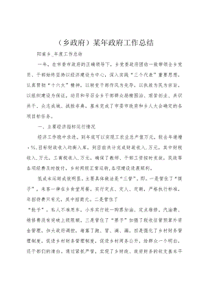 (乡政府)某年政府工作总结.docx