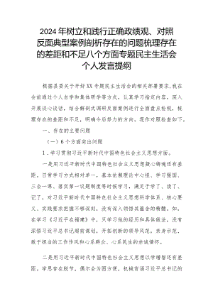 2024年树立和践行正确政绩观、对照反面典型案例剖析存在的问题梳理存在的差距和不足八个方面专题民主生活会个人发言提纲.docx