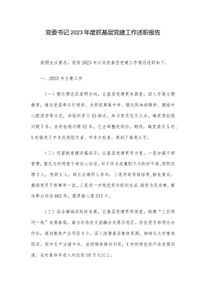 党委书记2023年度抓基层党建工作述职报告.docx
