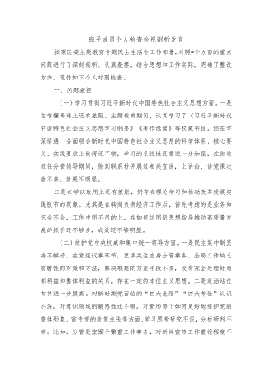 班子成员个人检查检视剖析发言.docx