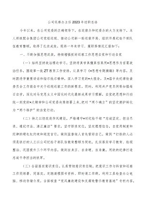 公司巡察办主任2023年述职总结.docx
