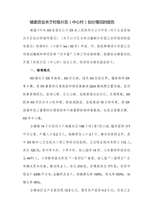 镇委员会关于村级片区（中心村）划分情况的报告.docx
