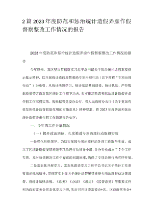 2篇2023年度防范和惩治统计造假弄虚作假督察整改工作情况的报告.docx