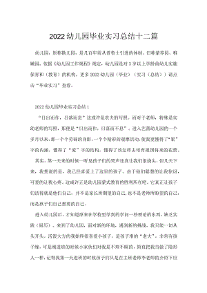 2022幼儿园毕业实习总结十二篇.docx