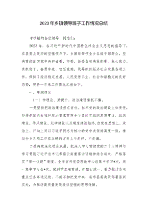 2023年乡镇领导班子工作情况总结.docx