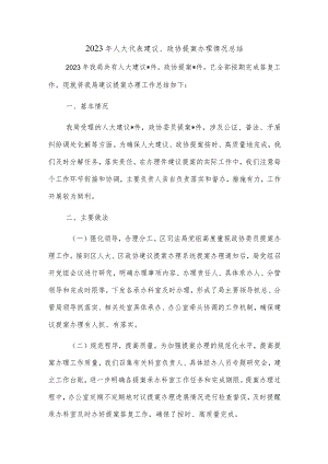 2023年人大代表建议、政协提案办理情况总结.docx