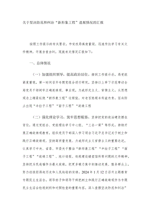 关于坚决防范和纠治“新形象工程”进展情况的汇报.docx
