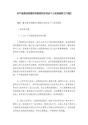 关于省委巡视整改专题组织生活会个人发言提纲【六篇】.docx