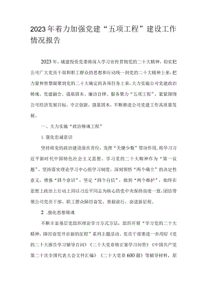 2023年着力加强党建“五项工程”建设工作情况报告.docx