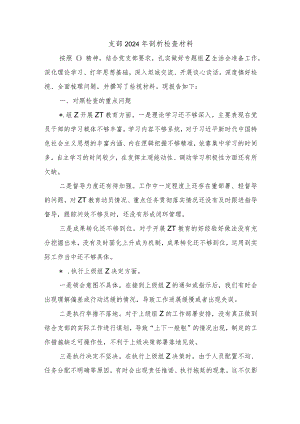 支部2024年剖析检查材料.docx