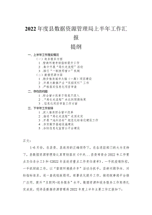 2022年度县数据资源管理局上半年工作汇报.docx