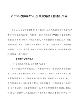2023年党组织书记抓基层党建工作述职报告09.docx