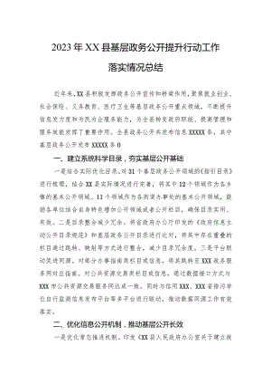 2023年xx县基层政务公开提升行动工作落实情况总结.docx