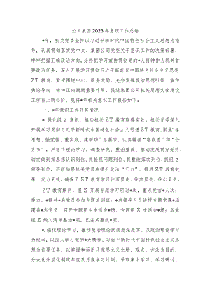 公司集团2023年意识工作总结.docx