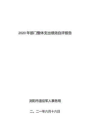 2020年部门整体支出绩效自评报告.docx