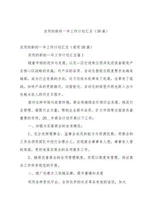 实用的新的一年工作计划汇总（30篇）.docx